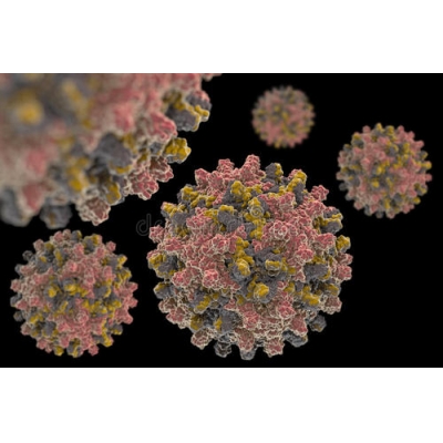 乙型肝炎病毒(hbv)检测及耐药分析