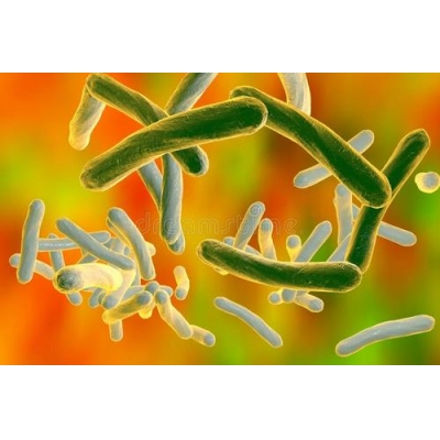 结核杆菌（tb）检测及基因耐药分析