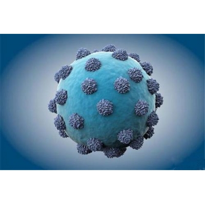 丙型肝炎病毒(hcv)检测及治疗效果预测分析